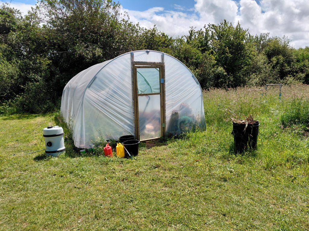 The Polytunnel