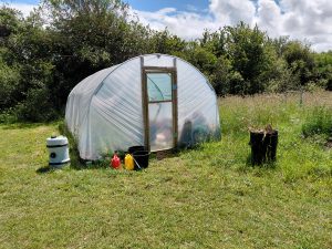 The Polytunnel
